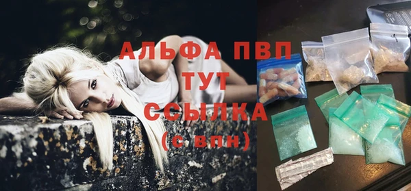 сатива Алзамай