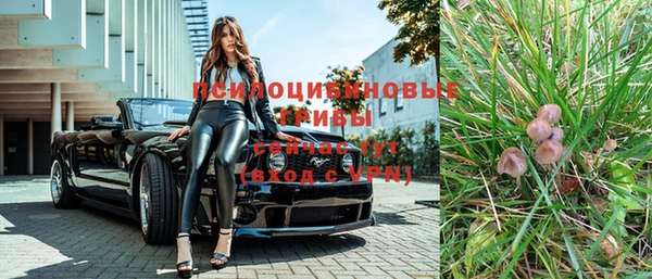 первитин Нея